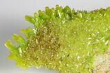Apple-Green Pyromorphite Crystal Cluster - China #179815-1